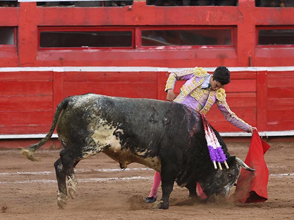 Naturales salmantinos