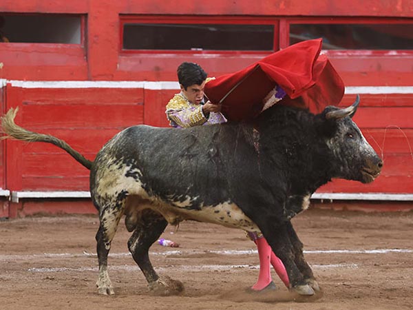 Sentimiento en el de pecho