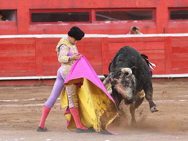 Parando al caribello