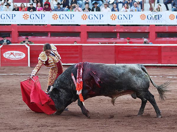 Faena en el centro del albero