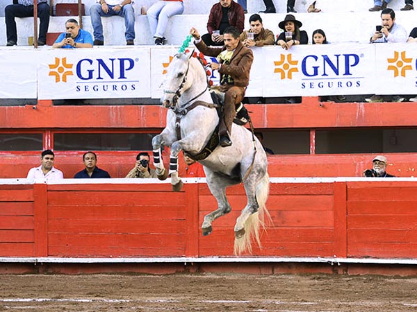 Espectacular en su doma