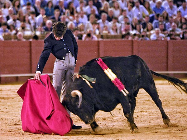 Cerr plaza Manuel Domnguez