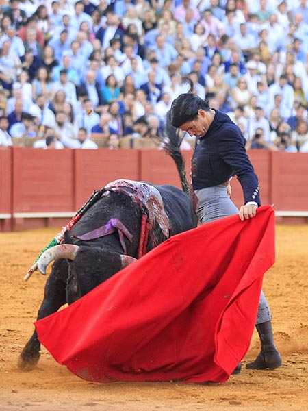 Naturales de vuelta entera