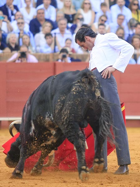 Bien plantado en la arena