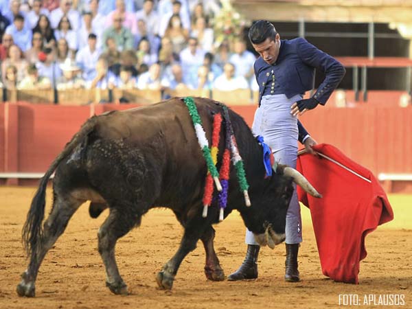 Ctedra de buen toreo