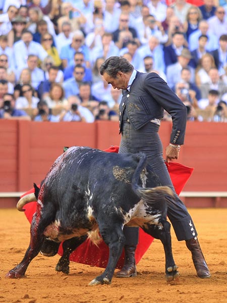 El arte de Manuel de Jess