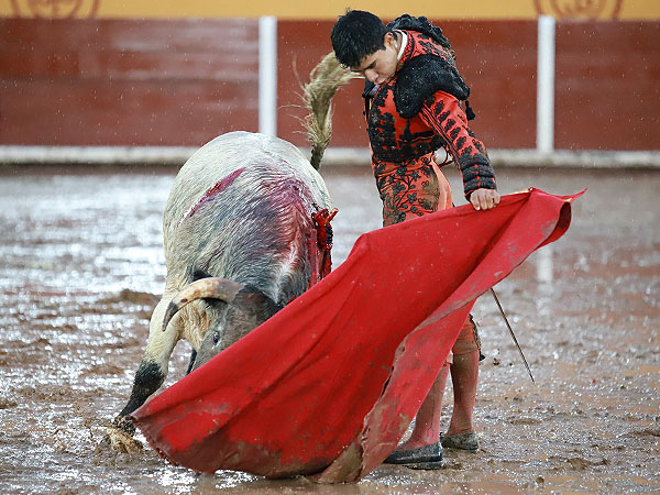 Metido en la muleta