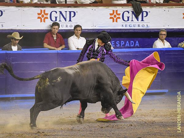 Salt a la arena un octavo ejemplar