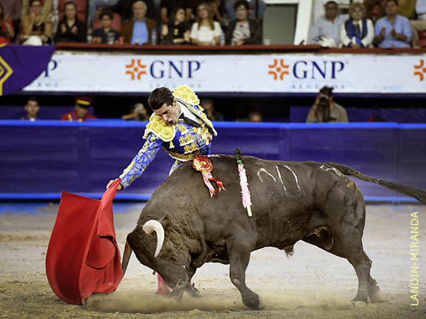 Series que calaron en los tendidos