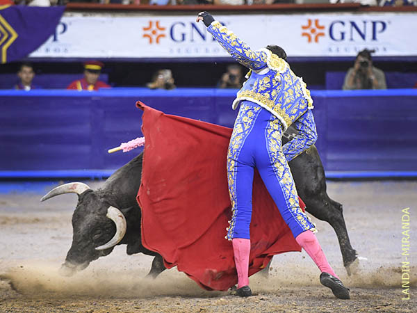 Logr hacerse del toro