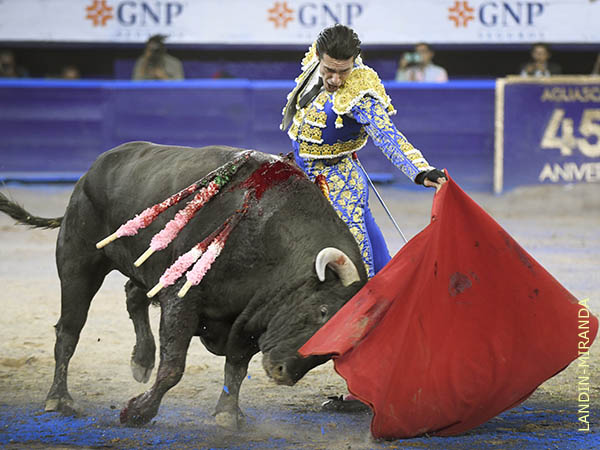 Muletazos templados y sentidos