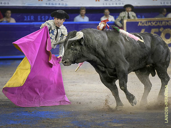 lvaro, tratando de colocar al crdeno
