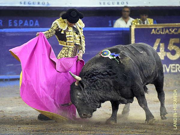 Diego luci en las vernicas