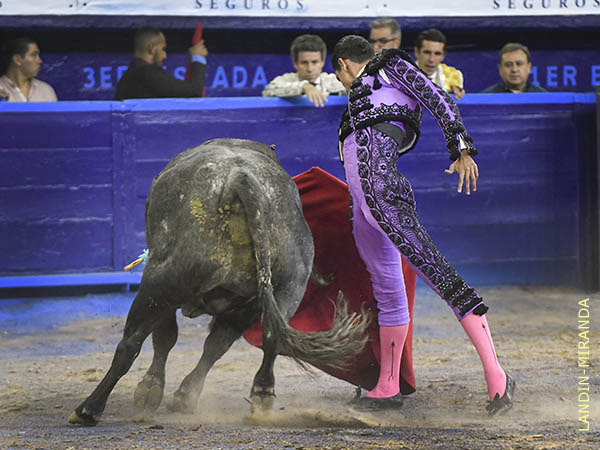 Destellos de su clase