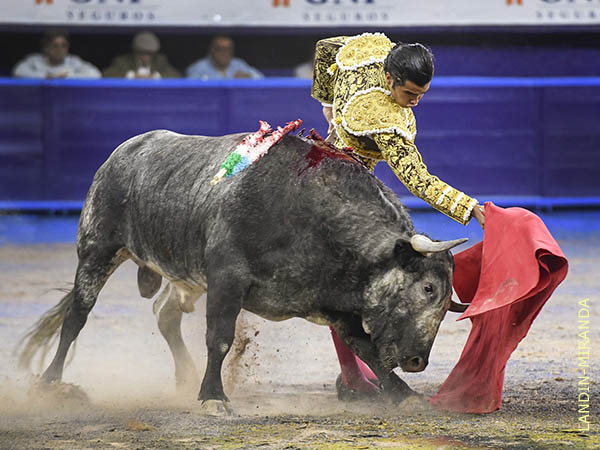 Jaleado en las dosantinas