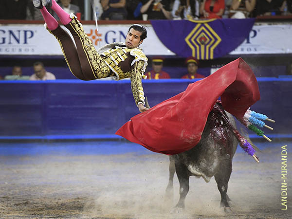 Levantn que lo sac del cuadro