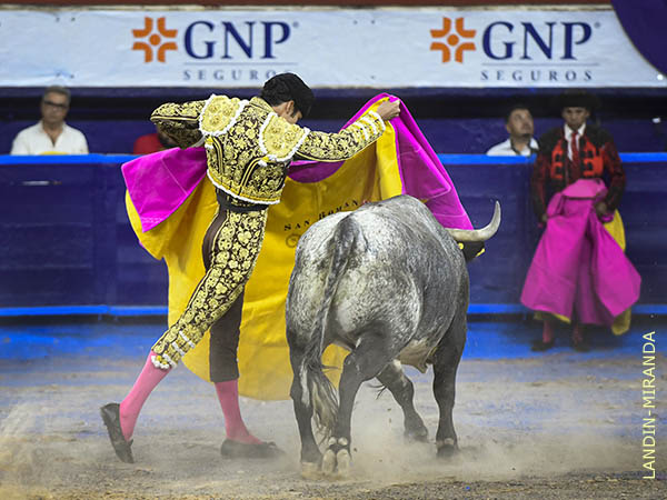 Variedad en el quite