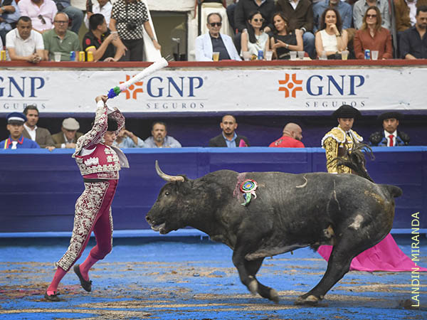 Cuadrando en la cara del crdeno