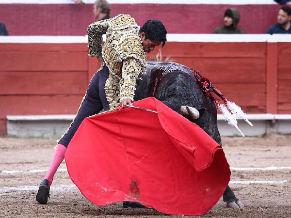 La cara a media altura
