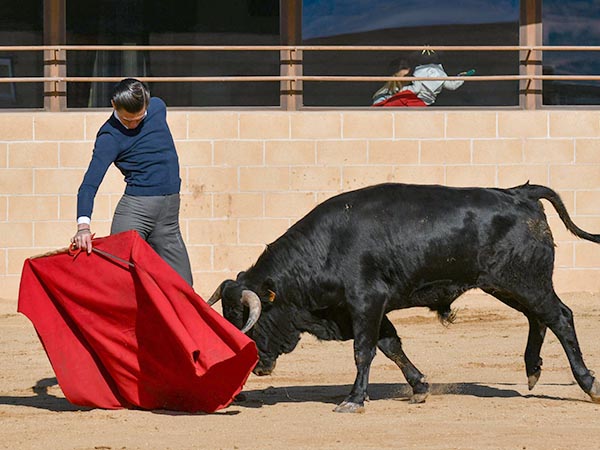 Otra foto buena de Antonio Cataln