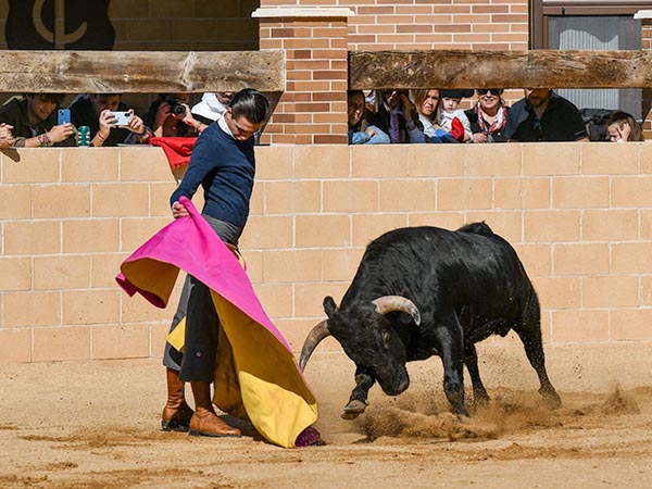 Vertical en las vernicas