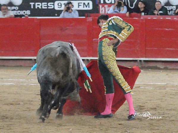 Toreo clsico por el derecho