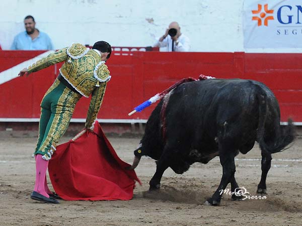 Noble, humillado y obediente