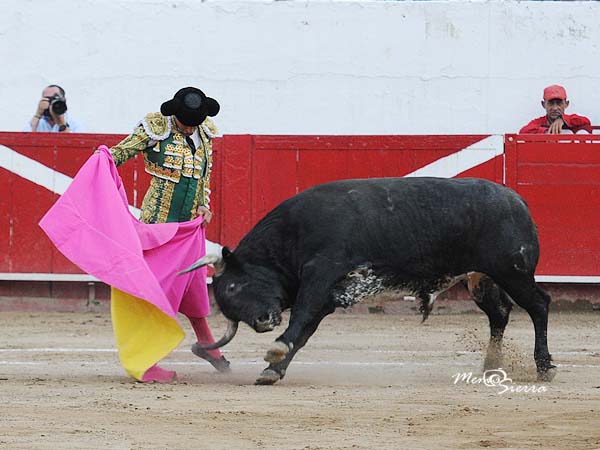 Jaleado en los primeros lances