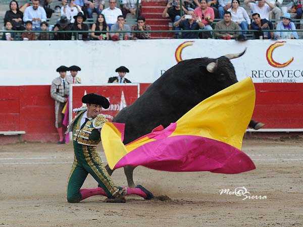 Saludo en la boca del riego