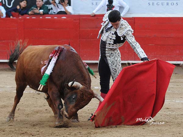 Destellos del artista