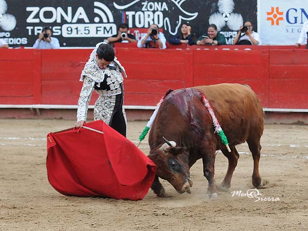 Colorado serio de cuerna