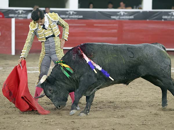 Reposadas tandas por el derecho