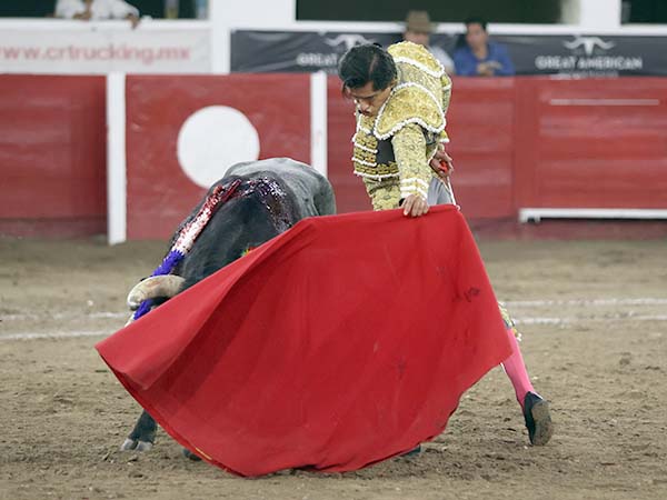 Intensa faena de muleta