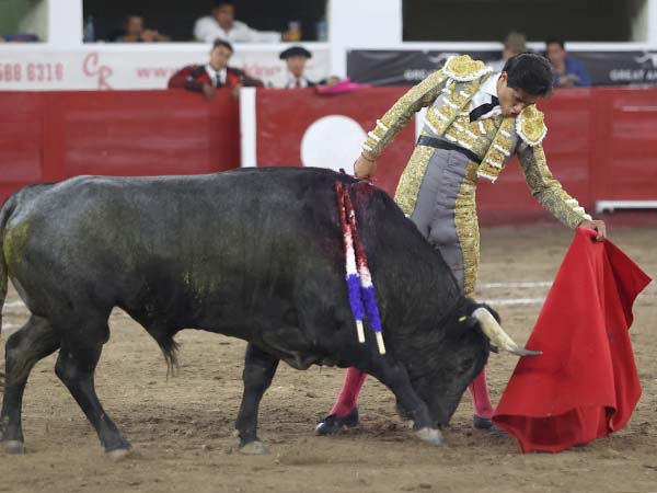 Luci por ambos pitones