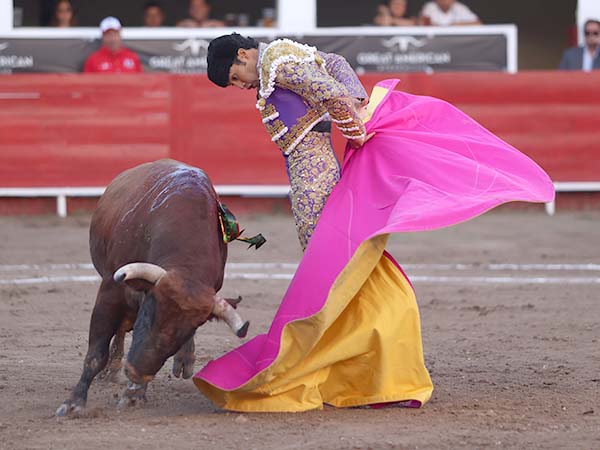 Siguiendo los vuelos