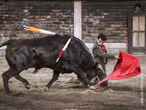 Ah mismo el de vuelta