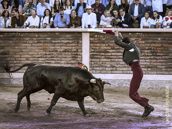 Kingston luci en banderillas