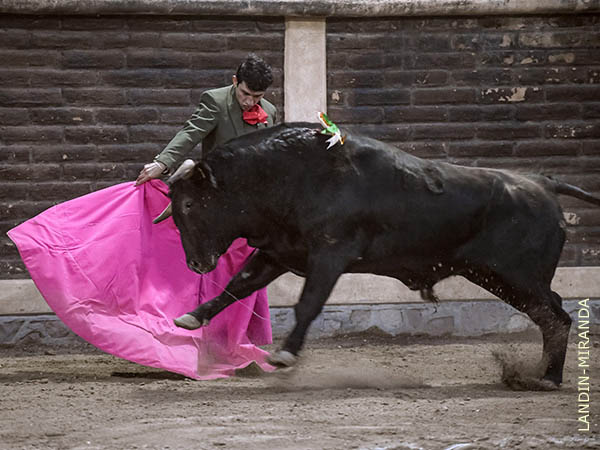 Fonseca, parando al negro