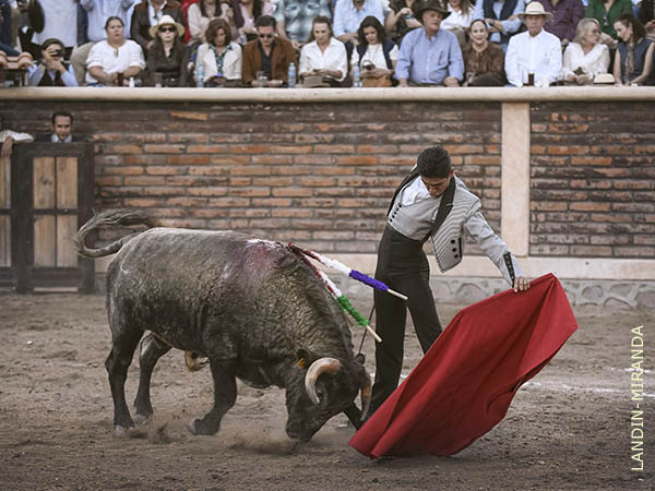 Exquisitos naturales