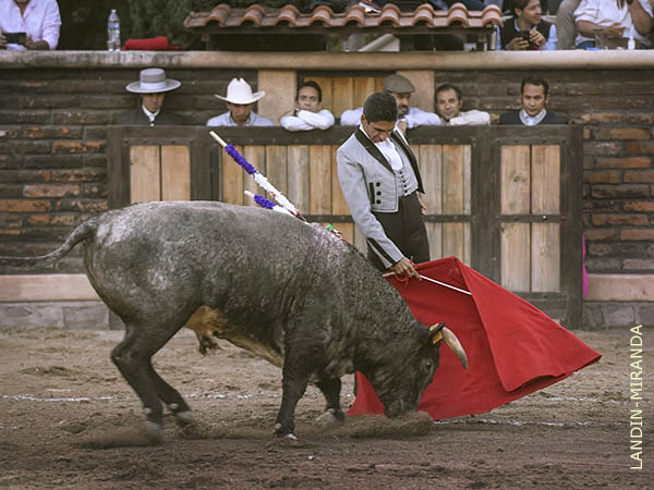 Hacindose del crdeno