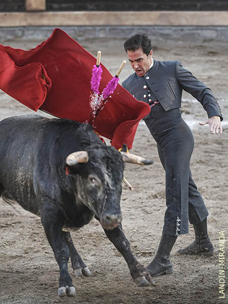 Enjundia en el remate