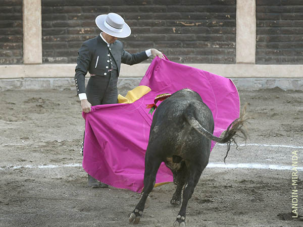 Jaleado en los quites