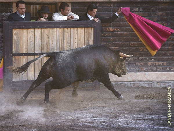 Encierro de Chinampas, de buen juego