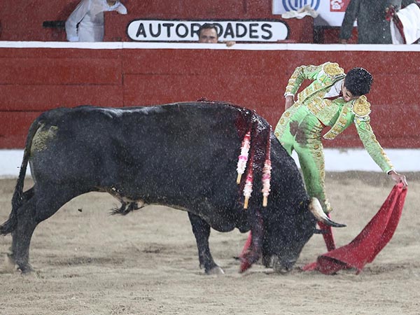 Faena bajo un aguacero