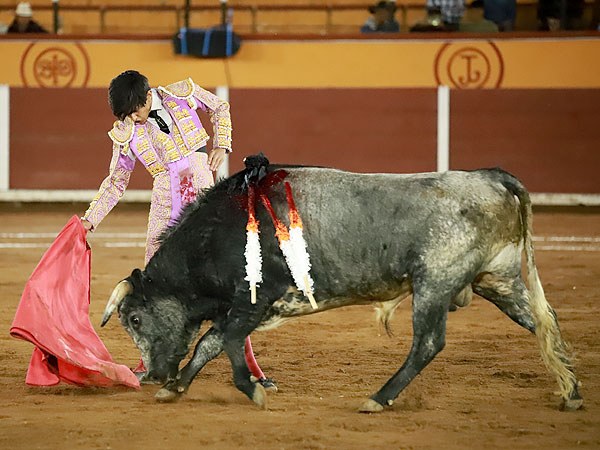 Pelez Apuntando el toreo artstico