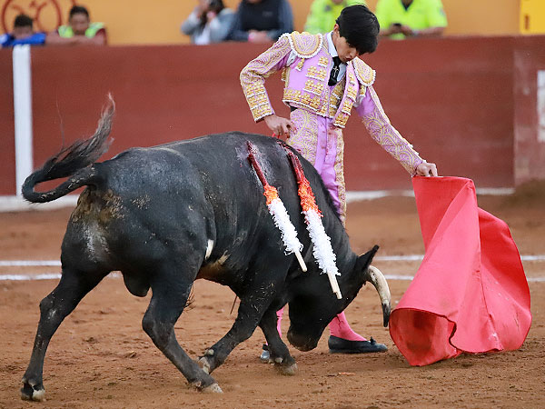 Embrujado en el vuelo