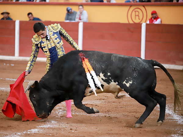 Faena intensa con trasmisin