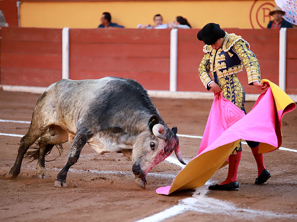 Juan Pablo Ibarra y Rancho Seco