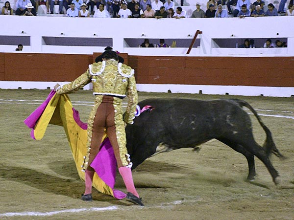 Jaleado en las vernicas