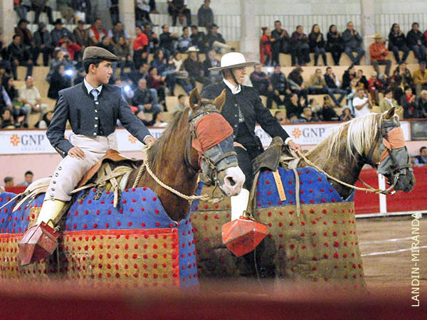 Primeros pasos sobre la jaca